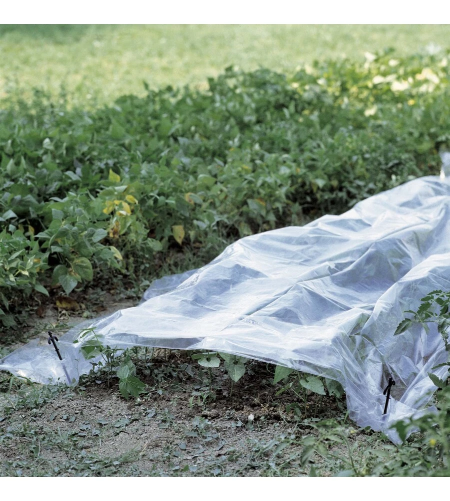 TELO FORZATURA TRASPARENTE 2X5M